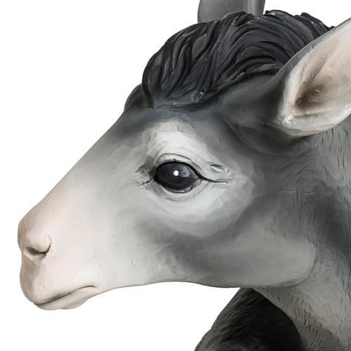 Boi e burrinho fibra de vidro para Presépio com figuras de altura média 60 cm