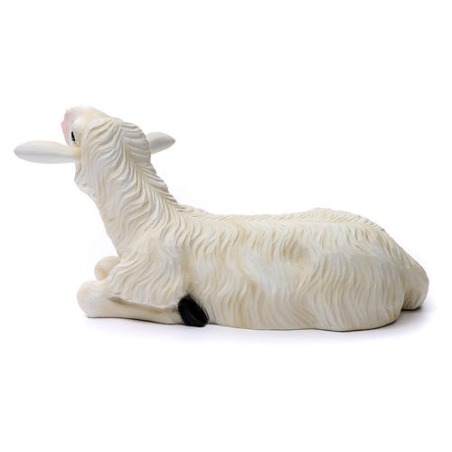 Duas ovelhas para Presépio com figuras de altura média 80 cm fibra de vidro pintada