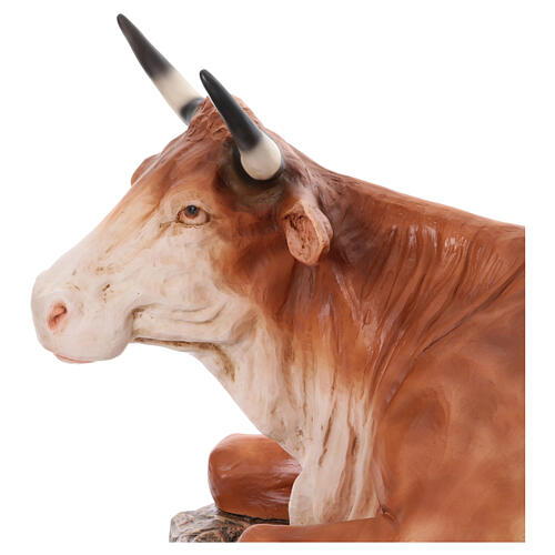 Imagem boi para presépio EXTERIOR fibra de vidro h 165 cm