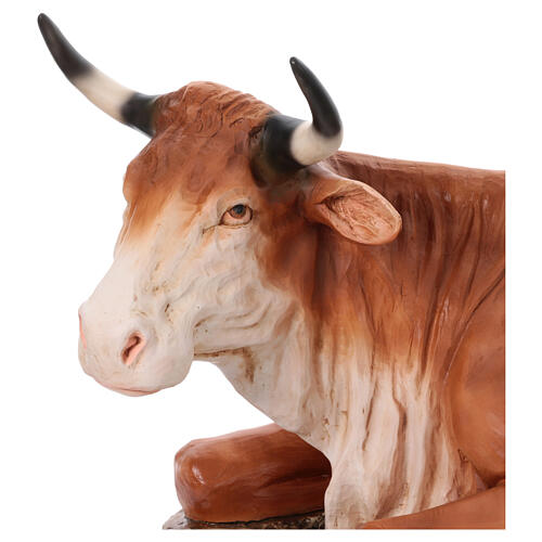 Imagem boi para presépio EXTERIOR fibra de vidro h 165 cm