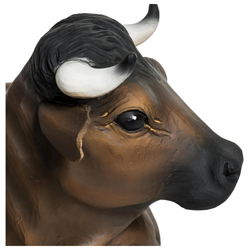 Boi e burrinho 37-30 cm fibra de vidro para Presépio com figuras de altura média 60 cm PARA EXTERIOR