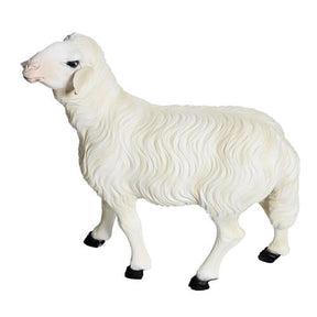 Duas ovelhas para presépio com figuras de altura média 60 cm fibra de vidro