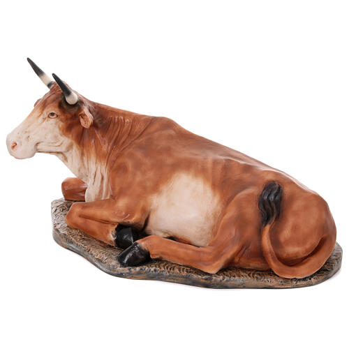 Imagem boi para presépio EXTERIOR fibra de vidro h 165 cm